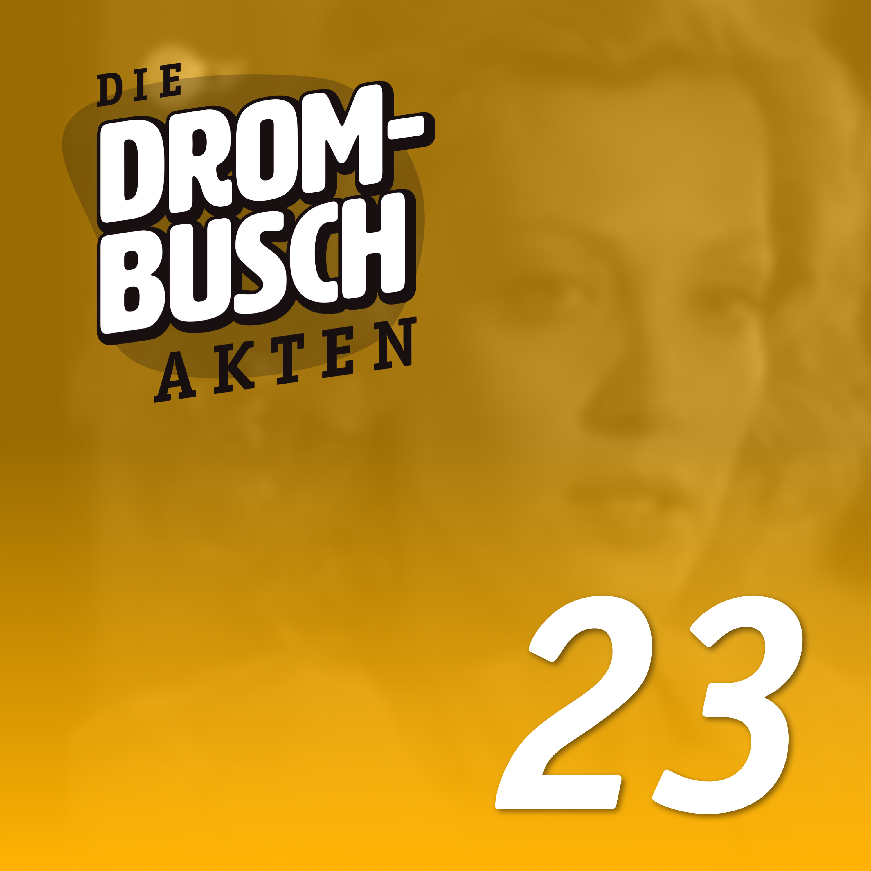 Artwork for Die Drombusch-Akten
